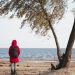 Woman in a red jacket stands under a tree and looks at the waves. Windy Autumn Day at the Shore of Lake Ilmen. Northern landscape