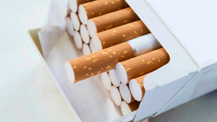 Opened pack full of cigarettes closeup