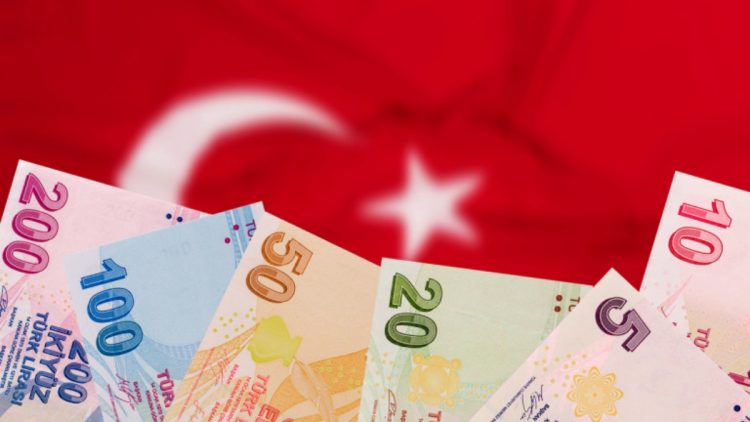 Turk banknotes and Turkish coins